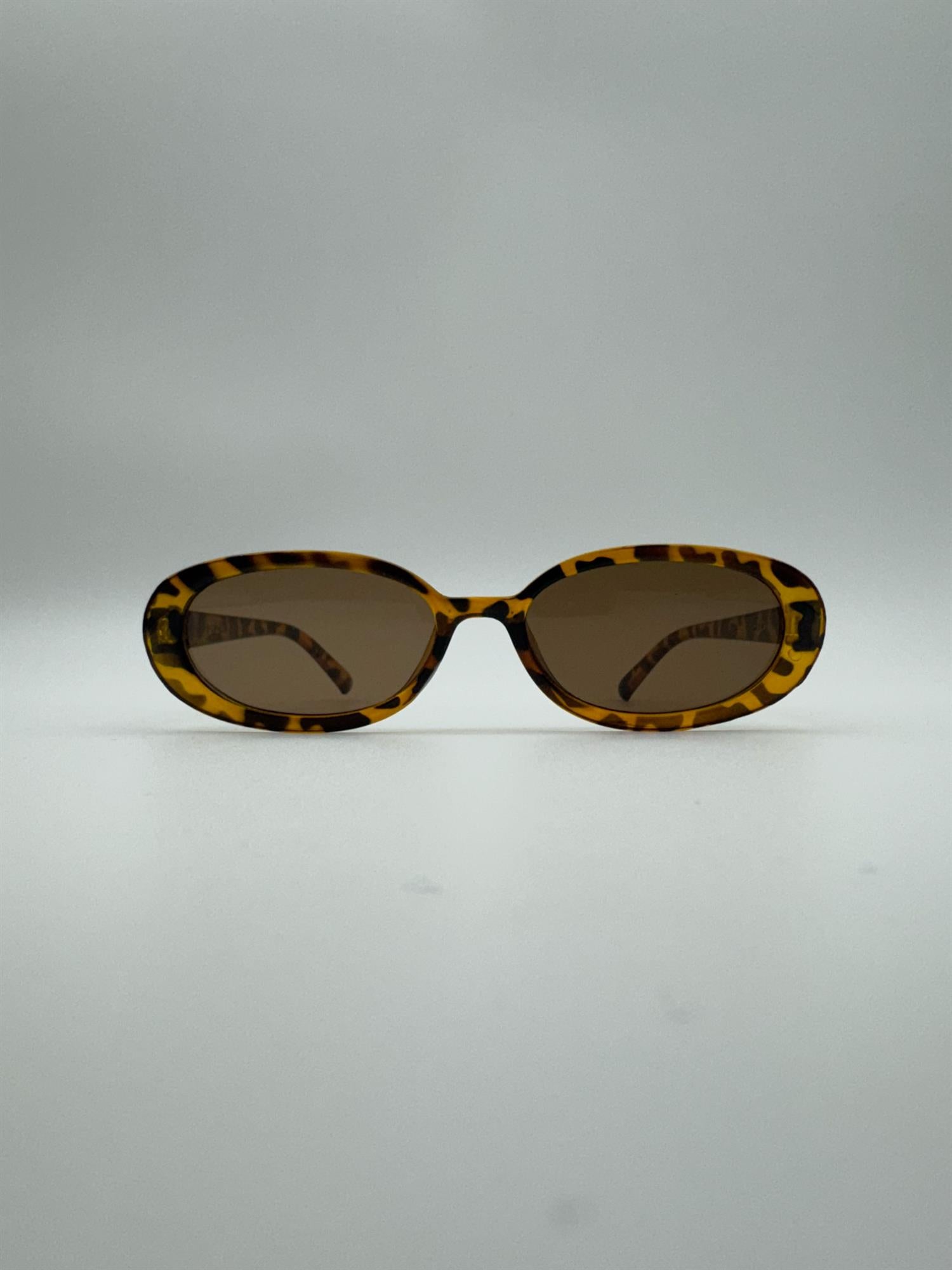 Hedda - Tortoise