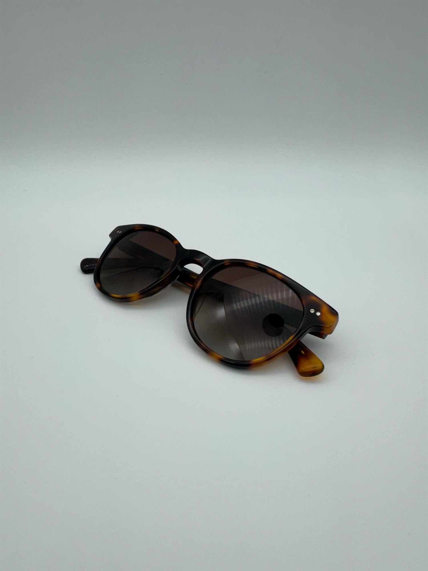 Bergen - Tortoise