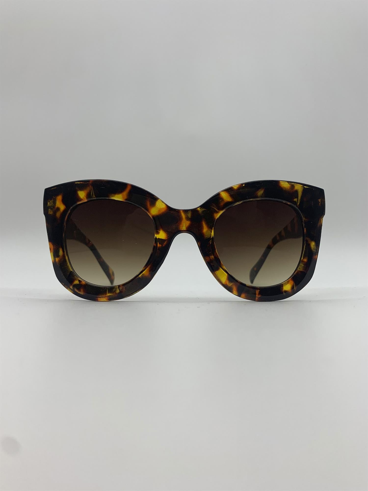 Ava - Tortoise