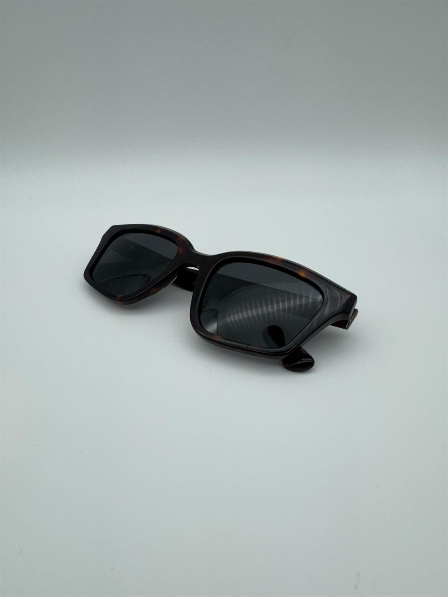 Copenhagen - Tortoise