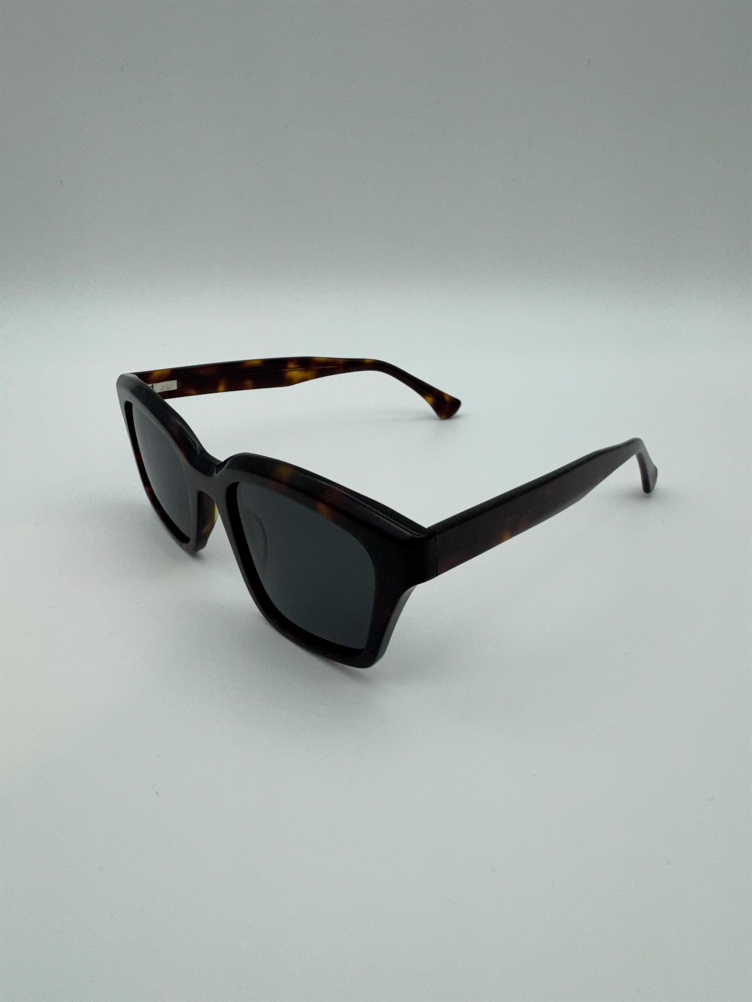 Copenhagen - Tortoise